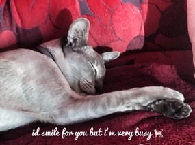 Quirky Photos from Hazel