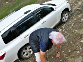 Alan is Nearly Run Over Again!