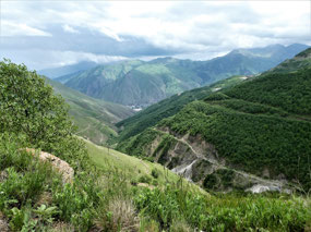 Nerve Wracking Roads