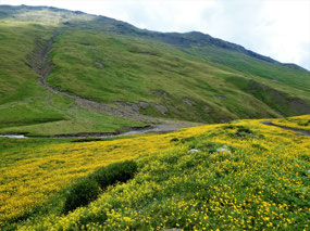 The Prettiest Scenery