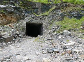 Tungsten Mine Shaft