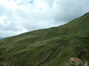 Well Above the Tree Line