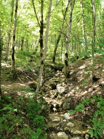 Pretty Gullies at Guamka