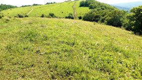 Pristine Alpine Meadows, Mezmay