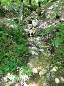 Snow Fed Streams at Guamka