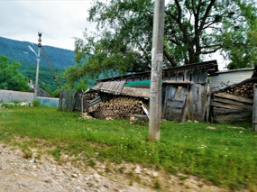 Wood Stored for Winter