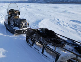 Our Sled