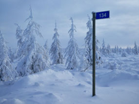 134 km to Where?