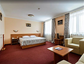 Spacious Hotel Room