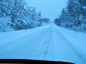 Brrrr... It's Cold Out There....