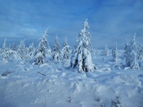 Ghostlands of the Taiga