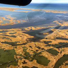 Lacy Tundra Near Pevek, Chukotka