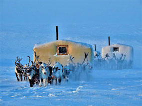 Pulling Baloks (c. Ed Vallance)