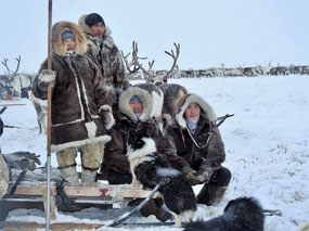 Reindeer Sledges (c. Ed Vallance)