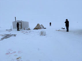 Viktor's Tiny Hut