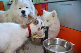 Yashka and Friends (c. I Ranav)