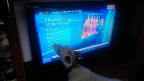 Yashka Watching TV (c. I Ranav)
