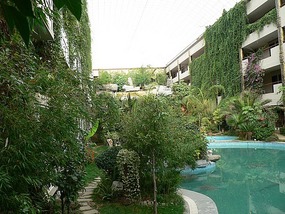 Inside the Beautiful Glass Covered Paradise Hotel