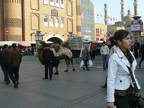Camel Outside Carrefours Department Store, Urumqi