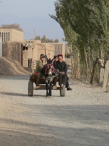 A Donkey Cart Driver Offers us a Lift
