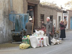 Threshing Grapes on the Road to Emin Minaret