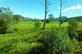 Lovely Rural Scenery Outside of Taree