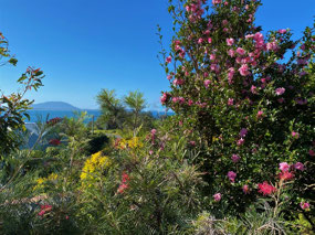 Our Gardens at Crowdy Head