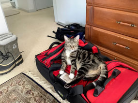 Yekaterina Helping with the Packing