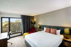 Spacious Comfortable Rooms
