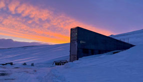 Dawn at the Global Seed Vault
