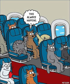 A Bit Like Alan's Fortune.... (c Metzger)