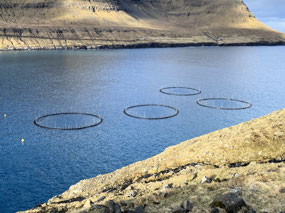 Fish Farming Between Borðoy & Viðoy