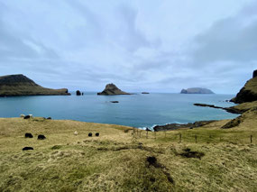 To Tindhólmur  & Gáshólmur Islets