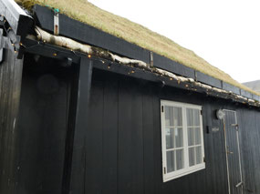 Birch Bark Lined Turf Roofing