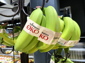 Best Quality Bananas