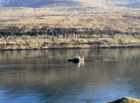 Fish Farms in the Sundini Fjord