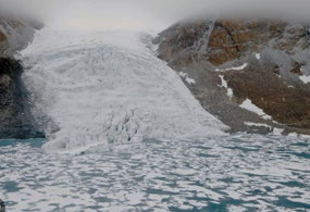 Glacier Entering the Sea (c. Woods Hole Institute)