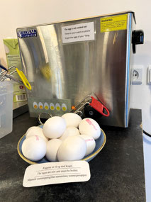 Self-Cooking Eggs