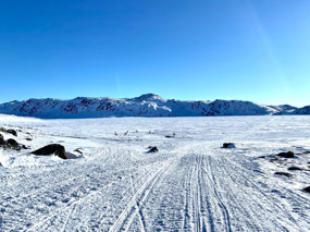 Sled Dogs on the Flat Valley