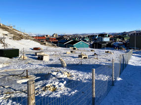 Looking From Kennels to Ilulissat