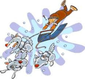 Similar to my Dog Sledding Adventures!