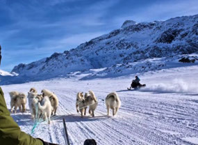 Passing Snowmobiles! (c. Swoop Arctic)