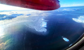 An Icy Coast