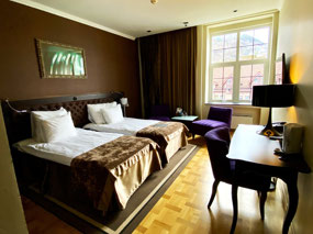 Our Tastefully Furnished Room