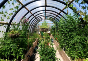 Greenhouse Farming (c. Farm Advisory)