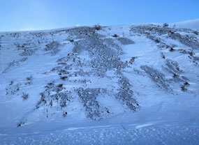 Now Into the Real Tundra