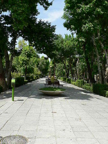 Tree Lined Boulevards of Esfahan