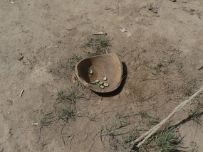 Dog's Bowl Gonur
