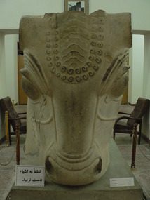 Horse Head Sculptures, Susa Museum