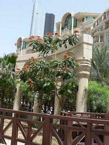 The Al Marooj Rotana